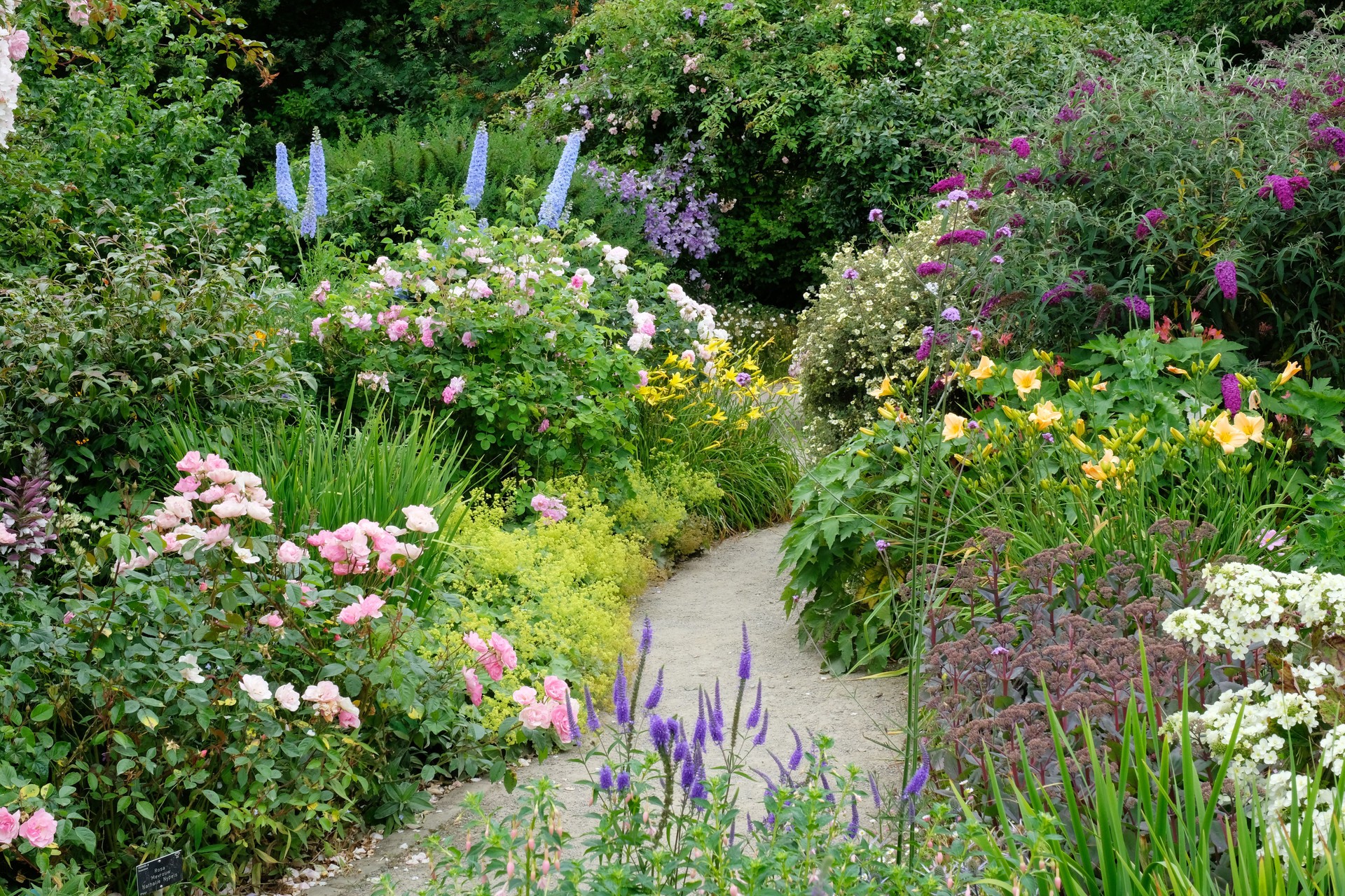 Richly Planted Flower Garden
